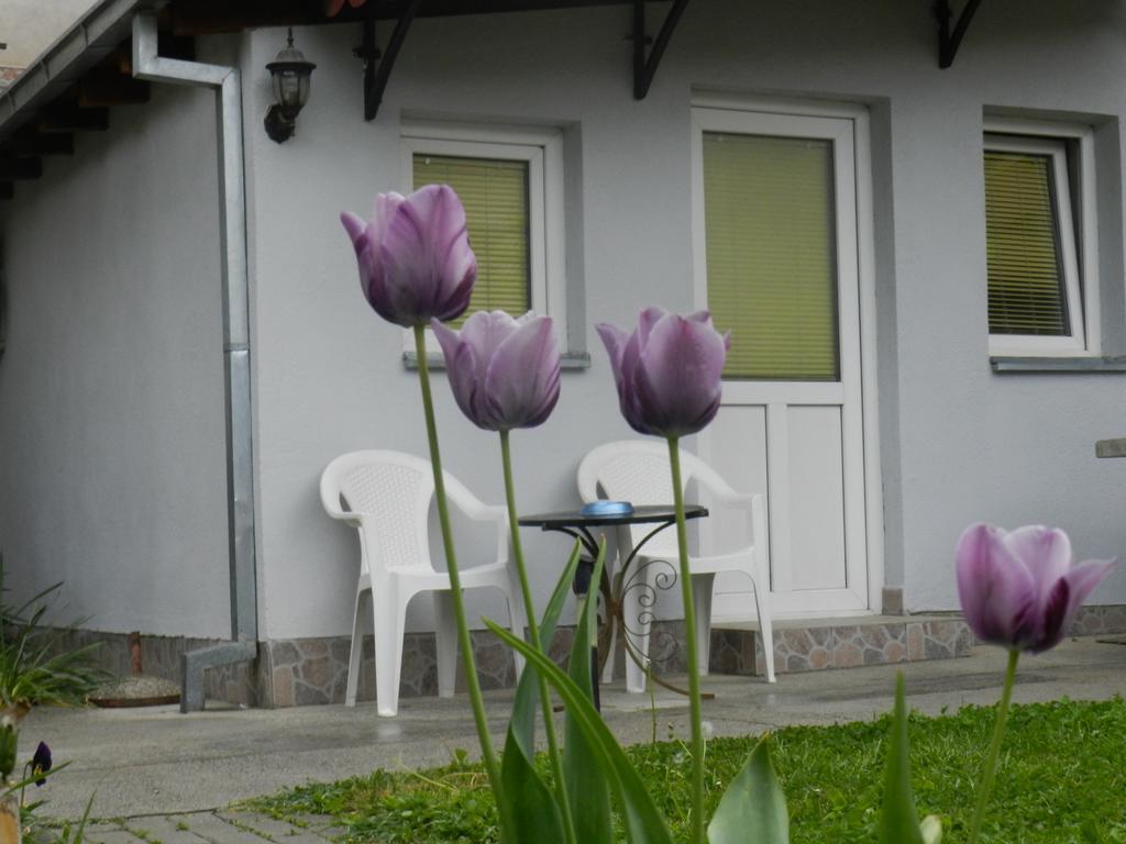 Apartment-Studio Downtown Dudanovi Ohrid Exterior photo